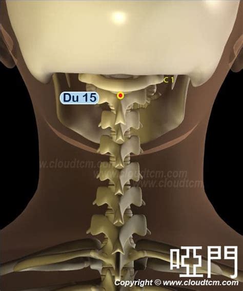 啞門穴位置|啞門穴(喑門、舌橫、舌厭)